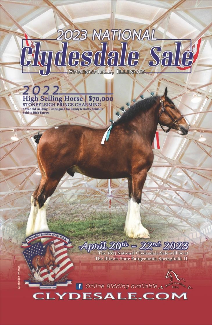 National Clydesdale Sale Clydesdales for Sale, Raffle Filly